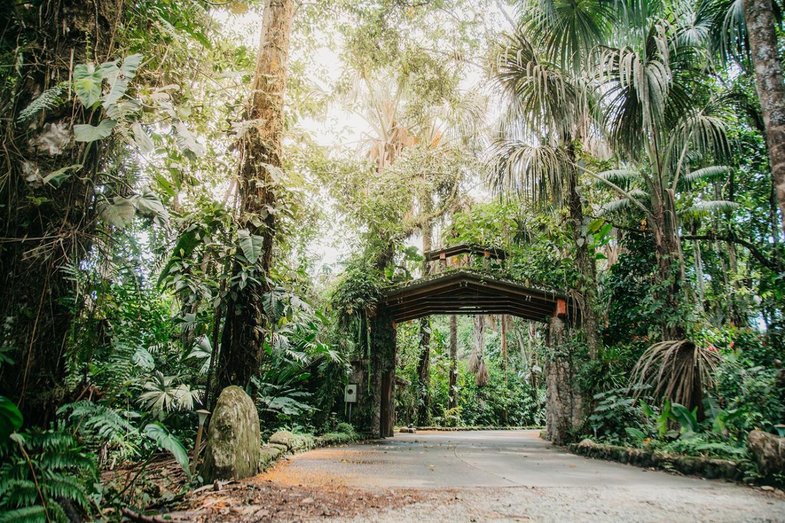 Arahuana Jungle Resort & Spa Tena Esterno foto